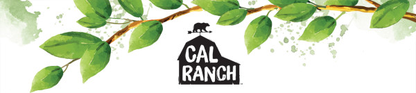 cal-ranch-foods